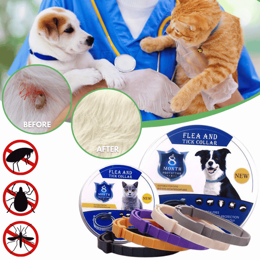 BIO-COLLAR™  8+ Months Protection against Flea & Tick