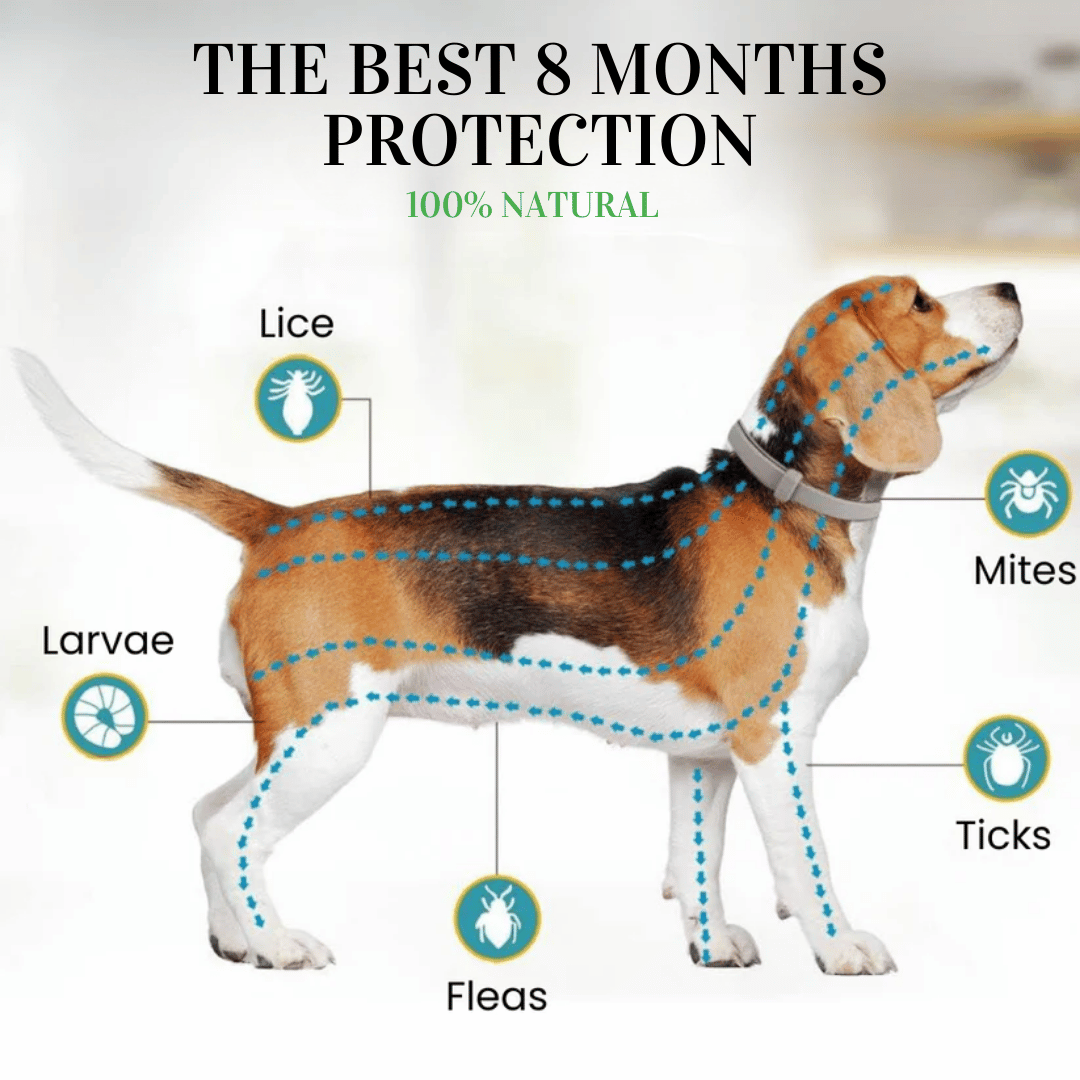 BIO-COLLAR™  8+ Months Protection against Flea & Tick